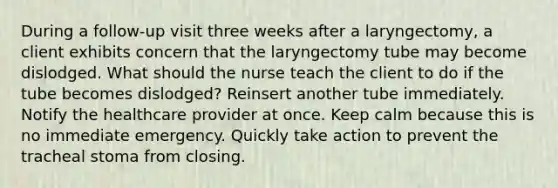 During a follow-up visit three weeks after a laryngectomy, a client exhibits concern that the laryngectomy tube may become dislodged. What should the nurse teach the client to do if the tube becomes dislodged? Reinsert another tube immediately. Notify the healthcare provider at once. Keep calm because this is no immediate emergency. Quickly take action to prevent the tracheal stoma from closing.