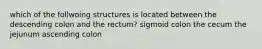 which of the follwoing structures is located between the descending colon and the rectum? sigmoid colon the cecum the jejunum ascending colon