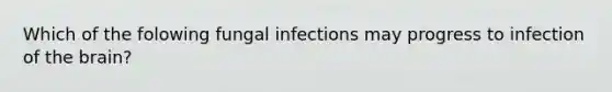 Which of the folowing fungal infections may progress to infection of the brain?