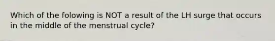 Which of the folowing is NOT a result of the LH surge that occurs in the middle of the menstrual cycle?