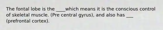 The fontal lobe is the ____which means it is the conscious control of skeletal muscle. (Pre central gyrus), and also has ___ (prefrontal cortex).