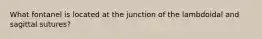 What fontanel is located at the junction of the lambdoidal and sagittal sutures?