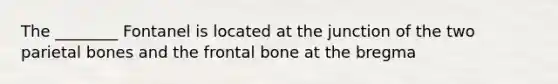 The ________ Fontanel is located at the junction of the two parietal bones and the frontal bone at the bregma