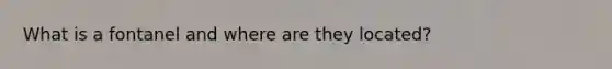 What is a fontanel and where are they located?
