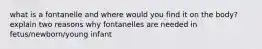 what is a fontanelle and where would you find it on the body? explain two reasons why fontanelles are needed in fetus/newborn/young infant