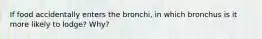 If food accidentally enters the bronchi, in which bronchus is it more likely to lodge? Why?