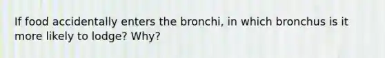 If food accidentally enters the bronchi, in which bronchus is it more likely to lodge? Why?