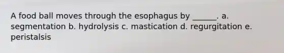 A food ball moves through the esophagus by ______. a. segmentation b. hydrolysis c. mastication d. regurgitation e. peristalsis