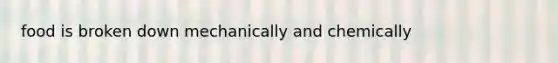 food is broken down mechanically and chemically