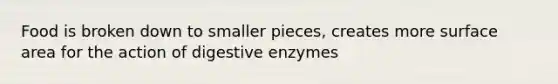 Food is broken down to smaller pieces, creates more surface area for the action of digestive enzymes