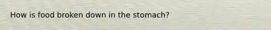 How is food broken down in the stomach?