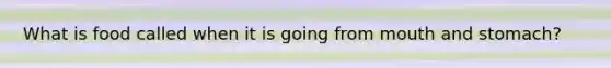 What is food called when it is going from mouth and stomach?