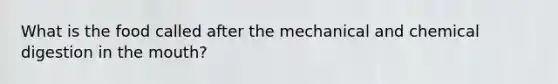 What is the food called after the mechanical and chemical digestion in the mouth?