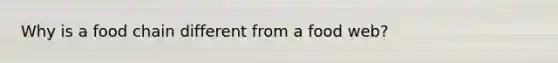 Why is a food chain different from a food web?