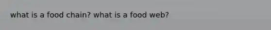 what is a food chain? what is a food web?