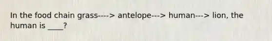 In the food chain grass----> antelope---> human---> lion, the human is ____?