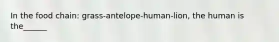 In the food chain: grass-antelope-human-lion, the human is the______