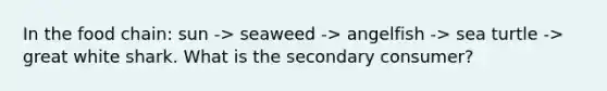 In the food chain: sun -> seaweed -> angelfish -> sea turtle -> great white shark. What is the secondary consumer?