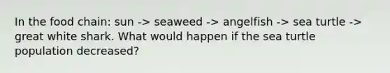 In the food chain: sun -> seaweed -> angelfish -> sea turtle -> great white shark. What would happen if the sea turtle population decreased?