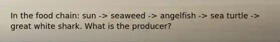 In the food chain: sun -> seaweed -> angelfish -> sea turtle -> great white shark. What is the producer?