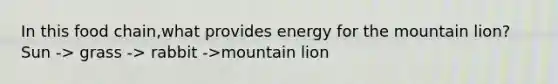 In this food chain,what provides energy for the mountain lion? Sun -> grass -> rabbit ->mountain lion