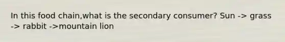 In this food chain,what is the secondary consumer? Sun -> grass -> rabbit ->mountain lion