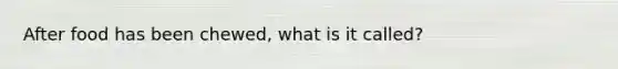 After food has been chewed, what is it called?