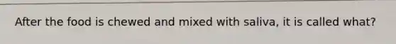After the food is chewed and mixed with saliva, it is called what?