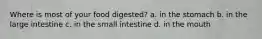 Where is most of your food digested? a. in the stomach b. in the large intestine c. in the small intestine d. in the mouth