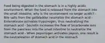 Food being digested in the stomach is in a highly acidic environment. When the food is released from the stomach into the small intestine, why is the environment no longer acidic? - Bile salts from the gallbladder neutralize the stomach acid - Enterokinase activates trypsinogen, thus neutralizing the stomach acid - Secretin increases the flow of bicarbonate ions from the pancreas into the small intestine to neutralize the stomach acid - When pepsinogen activates pepsin, one result is the neutralization of stomach acid in the stomach.