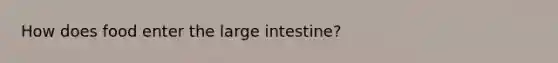 How does food enter the large intestine?