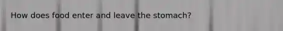 How does food enter and leave the stomach?