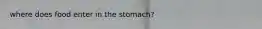 where does food enter in the stomach?