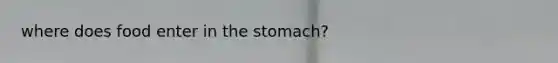 where does food enter in the stomach?