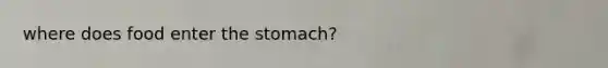 where does food enter <a href='https://www.questionai.com/knowledge/kLccSGjkt8-the-stomach' class='anchor-knowledge'>the stomach</a>?