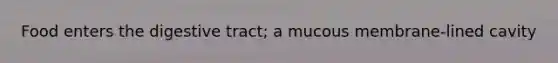 Food enters the digestive tract; a mucous membrane-lined cavity
