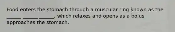 Food enters the stomach through a muscular ring known as the ______ ______ ______, which relaxes and opens as a bolus approaches the stomach.
