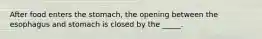 After food enters the stomach, the opening between the esophagus and stomach is closed by the _____.