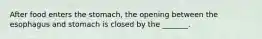 After food enters the stomach, the opening between the esophagus and stomach is closed by the _______.