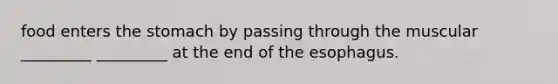 food enters the stomach by passing through the muscular _________ _________ at the end of the esophagus.