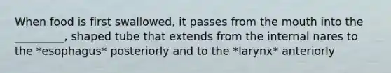When food is first swallowed, it passes from the mouth into the _________, shaped tube that extends from the internal nares to the *esophagus* posteriorly and to the *larynx* anteriorly