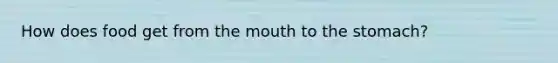 How does food get from the mouth to the stomach?