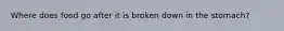 Where does food go after it is broken down in the stomach?