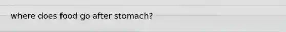 where does food go after stomach?