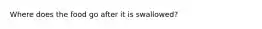 Where does the food go after it is swallowed?