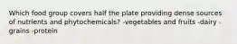 Which food group covers half the plate providing dense sources of nutrients and phytochemicals? -vegetables and fruits -dairy -grains -protein