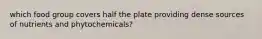 which food group covers half the plate providing dense sources of nutrients and phytochemicals?