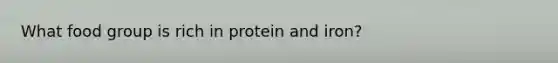 What food group is rich in protein and iron?