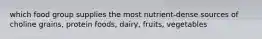 which food group supplies the most nutrient-dense sources of choline grains, protein foods, dairy, fruits, vegetables