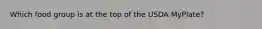 Which food group is at the top of the USDA MyPlate?